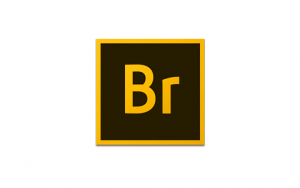 Adobe_Bridge_CC_2019_9.0.2.219