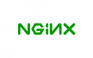 Nginx 流式传输配置，保持连接
