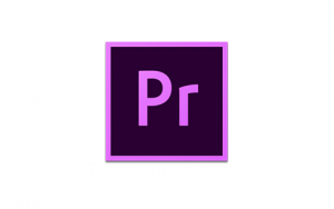 Adobe Premiere Pro CC 2019_13.0.3.8